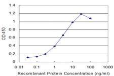 Anti-TTN Mouse Monoclonal Antibody [clone: 2F12]