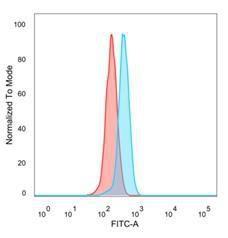 Flow cytometric analysis of PFA fixed HeLa cells using Anti-DDX41 Antibody [PCRP-DDX41-1B4] followed by Goat Anti-Mouse IgG (CF and #174; 488) (Blue). Isotype Control (Red)