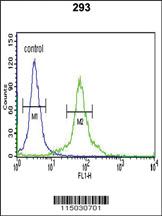 Anti-DLGAP5 Rabbit Polyclonal Antibody