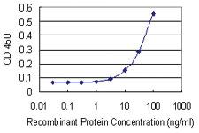 Anti-POU5F2 Mouse Monoclonal Antibody [clone: 3E3]