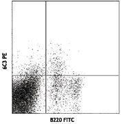 Anti-ENPEP Rat monoclonal antibody unconjugated