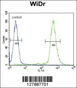 Anti-RPS6 Rabbit Polyclonal Antibody