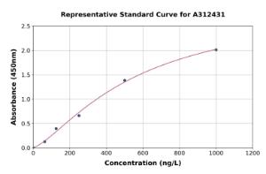 Representative standard curve for Human SYT14 ELISA kit (A312431)