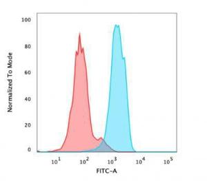 Flow cytometric analysis of PFA fixed MCF-7 cells using Anti-FOXA1 Antibody [FOXA1/1512] followed by Goat Anti-Mouse IgG (CF&#174; 488) (Blue). Isotype Control (Red).