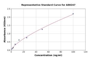 Representative standard curve for Rat Angiotensinogen ELISA kit (A80247)