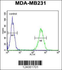 Anti-ST7 Rabbit Polyclonal Antibody (HRP (Horseradish Peroxidase))