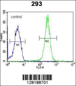 Anti-LRRC57 Rabbit Polyclonal Antibody (HRP (Horseradish Peroxidase))