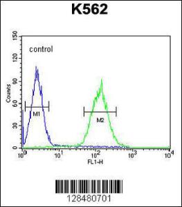 Anti-P5F1B Rabbit Polyclonal Antibody (APC (Allophycocyanin))