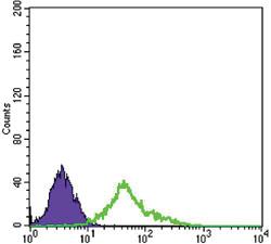 Anti-NGFR Mouse Monoclonal Antibody [clone: 2F1C2]