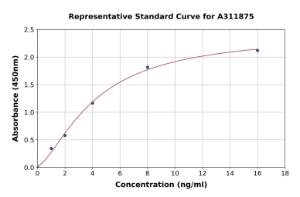 Representative standard curve for Human Thyroglobulin ELISA kit (A311875)