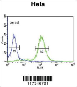 Anti-SNURF Rabbit Polyclonal Antibody