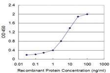 Anti-FLT3L Mouse Monoclonal Antibody [clone: 4C4]