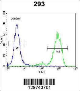 Anti-SPDYE5 Rabbit Polyclonal Antibody (AP (Alkaline Phosphatase))