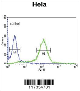 Anti-STIP1 Rabbit Polyclonal Antibody