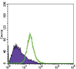 Anti-NKX3-1 Mouse Monoclonal Antibody [clone: 4H4]