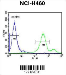 Anti-EBPL Rabbit Polyclonal Antibody (APC (Allophycocyanin))