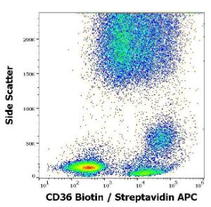 Flow cytometry surface staining pattern of human peripheral whole blood stained using Anti-CD36 Antibody [TR9] (Biotin) (A254405) (concentration in sample 0,6  µg/ml, Streptavidin APC)