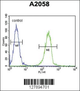 Anti-ENTHD1 Rabbit Polyclonal Antibody