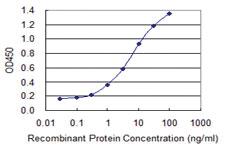 Anti-METTL2B Mouse Monoclonal Antibody [clone: 2A9]