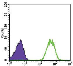 Anti-NME1 Mouse Monoclonal Antibody [clone: 4B2]