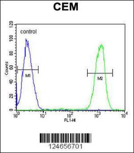 Anti-IKZF1 Rabbit Polyclonal Antibody