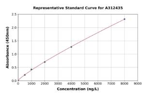 Representative standard curve for Human Synapsin I ELISA kit (A312435)