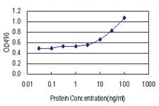 Anti-PSMD4 Antibody Pair