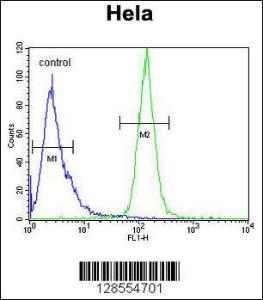 Anti-H2AFY2 Rabbit Polyclonal Antibody (PE (Phycoerythrin))