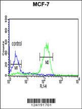 Anti-LUC7L2 Rabbit Polyclonal Antibody (HRP (Horseradish Peroxidase))