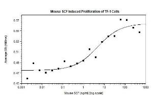 Animal-Free Mouse SCF