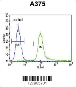 Anti-SPDYE3 Rabbit Polyclonal Antibody