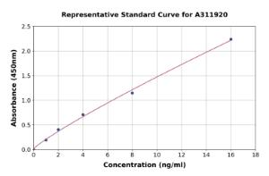 Representative standard curve for Mouse Tissue Kallikrein ELISA kit (A311920)