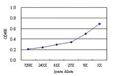 Anti-HADH Antibody Pair