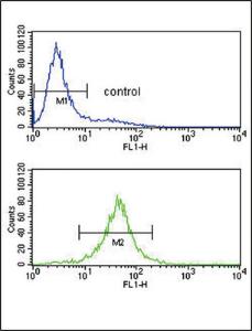 Anti-IL10 Rabbit Polyclonal Antibody (AP (Alkaline Phosphatase))