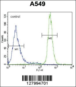 Anti-WFDC12 Rabbit Polyclonal Antibody