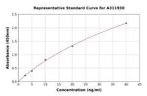 Representative standard curve for Human Nrf2 ELISA kit (A311930)