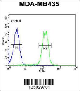 Anti-LYRM4 Rabbit Polyclonal Antibody