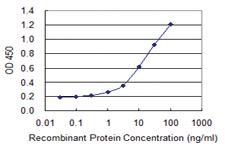 Anti-HDDC3 Mouse Monoclonal Antibody [clone: 7E6]