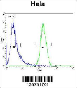 Anti-TRIM38 Rabbit Polyclonal Antibody (HRP (Horseradish Peroxidase))