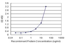 Anti-TNFRSF17 Antibody Pair