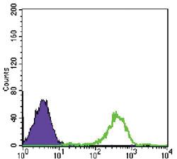 Anti-PTK2 Mouse Monoclonal Antibody [clone: 10H7E9]