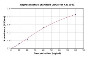 Representative standard curve for Human EGFR ELISA kit (A311941)