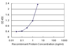 Anti-TNFRSF17 Polyclonal Antibody Pair