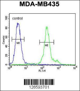 Anti-FBXL14 Rabbit Polyclonal Antibody (Biotin)