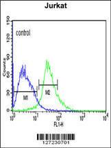 Anti-TRIM50 Rabbit Polyclonal Antibody