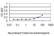 Anti-VBP1 Mouse Monoclonal Antibody [clone: 3D11]