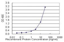 Anti-TNFRSF17 Mouse Monoclonal Antibody (Biotin)