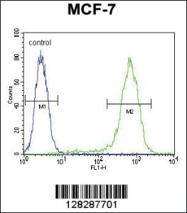 Anti-LYSMD4 Rabbit Polyclonal Antibody