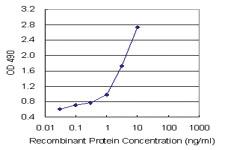 Anti-TNFRSF17 Mouse Monoclonal Antibody (Biotin)