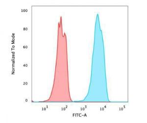 Flow cytometric analysis of PFA fixed MCF-7 cells using Anti-FOXA1 Antibody [FOXA1/2230R] followed by Goat Anti-Rabbit IgG (CF and #174; 488) (Blue). Isotype Control (Red)